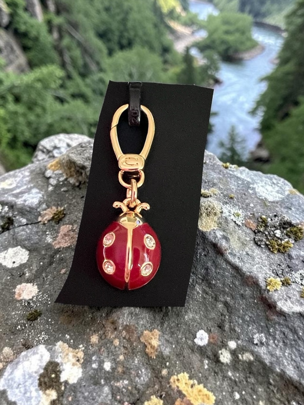 Coach Ladybug Charm - Picture 5 of 5